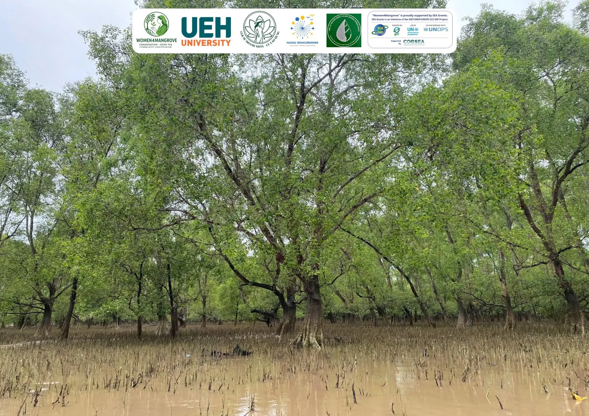 Field Visit and Learning from the Mangrove Canopy: Women4Mangrove and University of Zurich, Switzerland